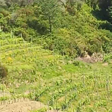 アパート Beatrice Nel Centro Di