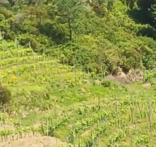 Διαμέρισμα Beatrice Nel Centro Di